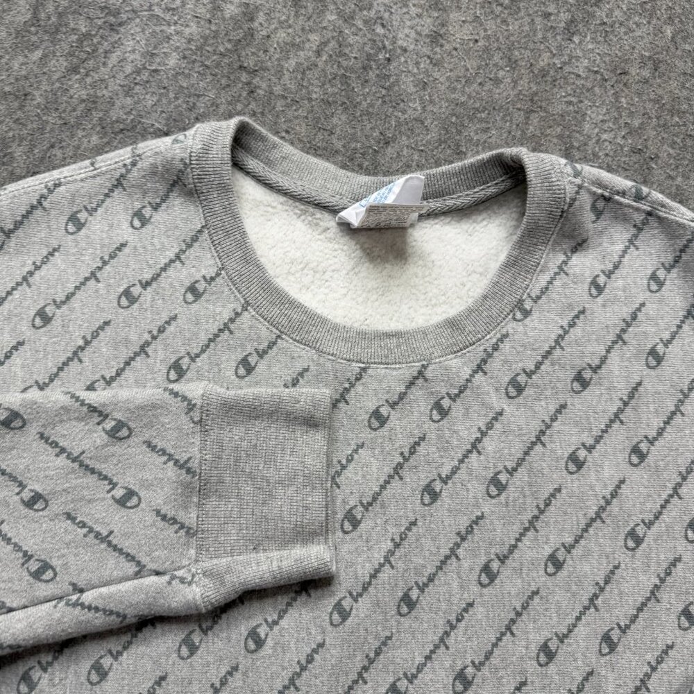 Champion Reverse Weave Sweatshirt Men L Gray Crew Neck Graphic Print Logo Fleece